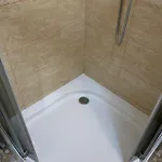 Arcadia Comfy * Odessa